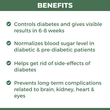 Load image into Gallery viewer, Ayush 82 DiabaTreat: Ayurvedic Medicine to Control Diabetes &amp; Blood Sugar Level
